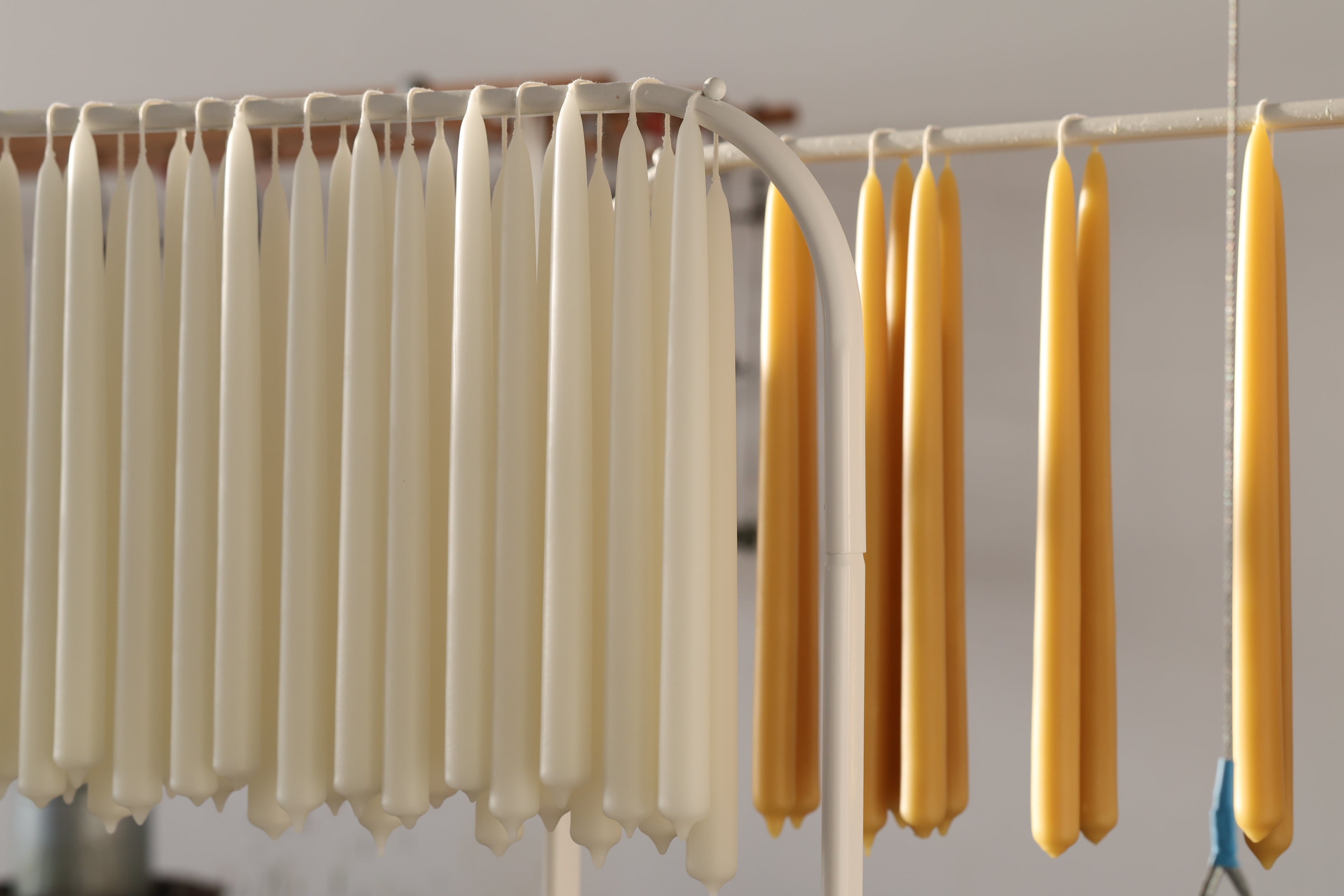 Rows of hand-dipped GLŌAM Classic Beeswax Tapers in ivory, cream, and golden yellow hanging from a drying rod in the Santa Barbara studio.