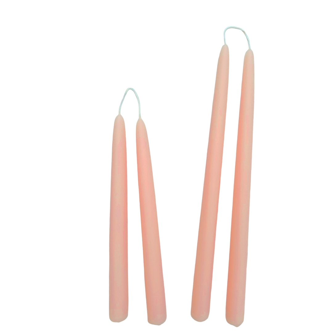 Beeswax Tapers in Scallop